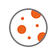 Development Experiences
