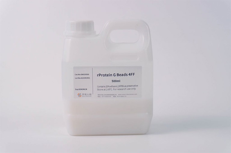 img of rProtein G Beads 4FF