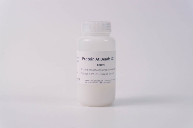 Protein At Beads LX