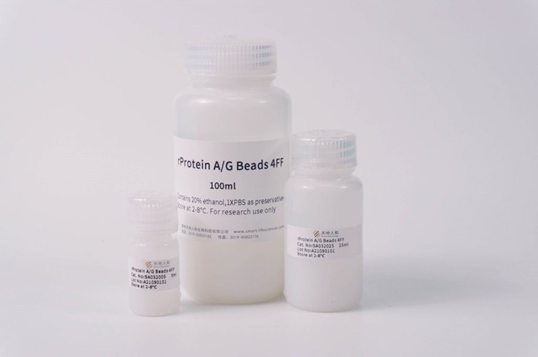 rProtein A/G Beads 4FF