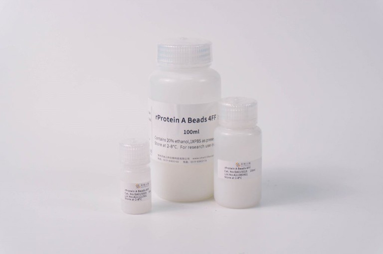 rProtein A Beads 4FF