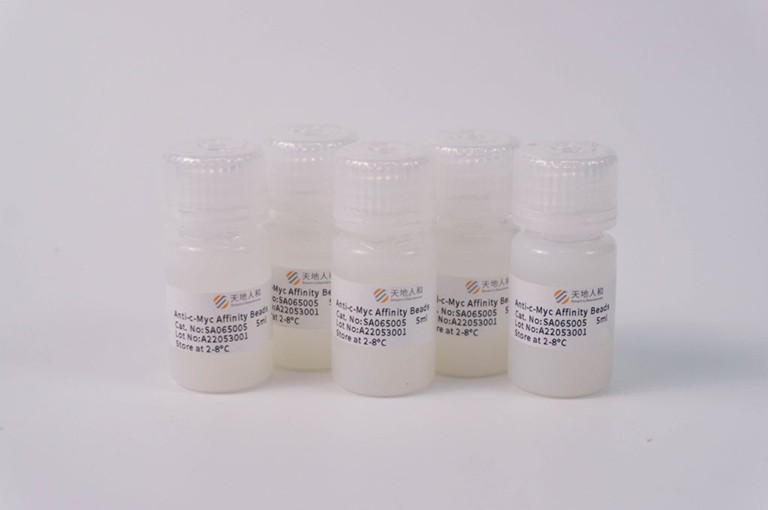img of Anti-c-Myc Affinity Beads
