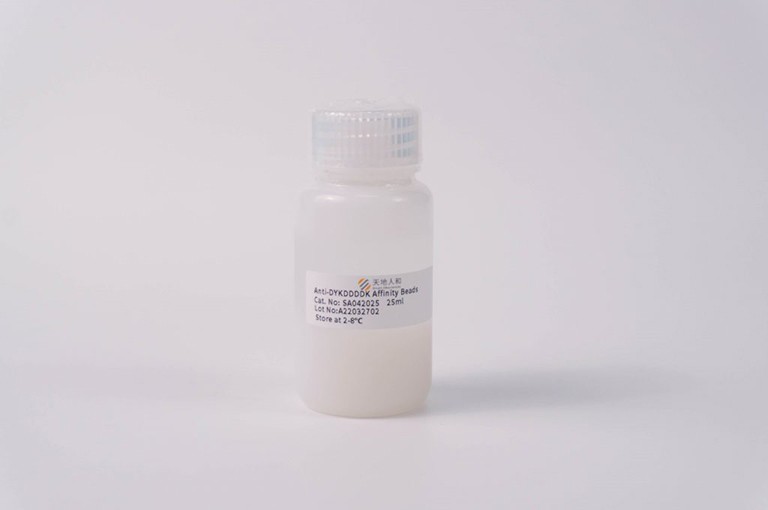 Anti-DYKDDDDK Affinity Beads