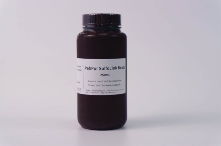 img of PabPur SulfoLink Beads