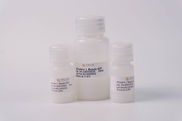 img of rProtein L Beads 4FF