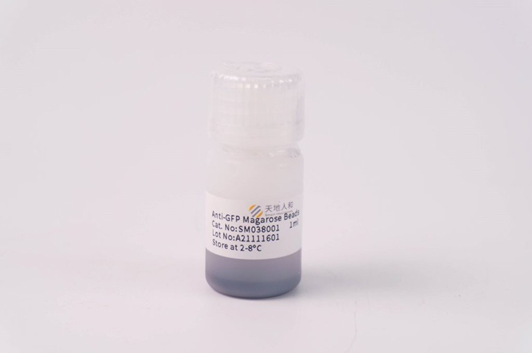 Anti-GFP Magarose Beads