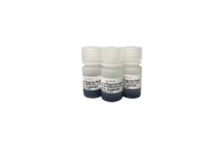 img of rProtein A/G Magarose Beads