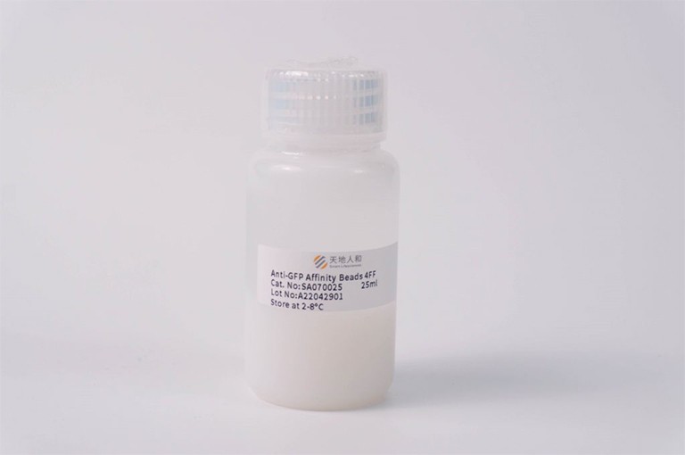 img of Anti-GFP Affinity Beads 4FF