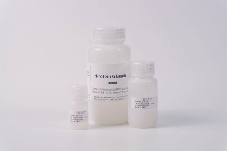 rProtein G Beads