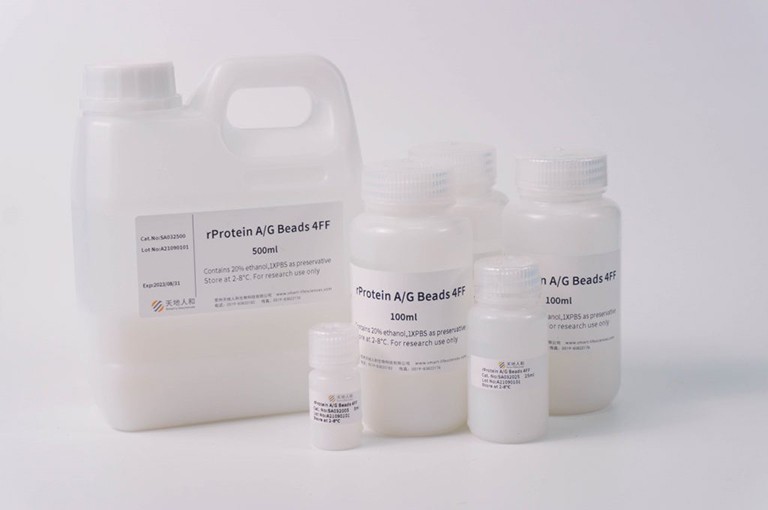 img of rProtein A/G Beads 4FF