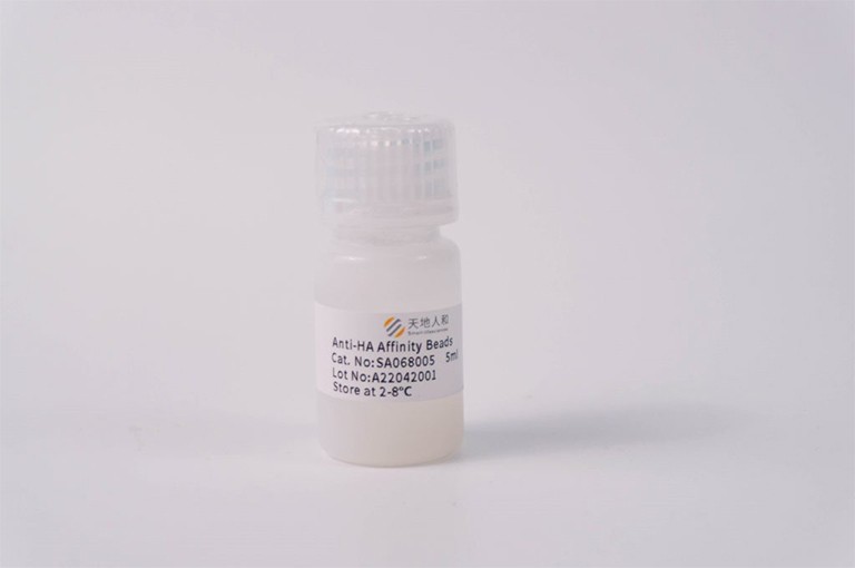 img of Anti-HA Affinity Beads
