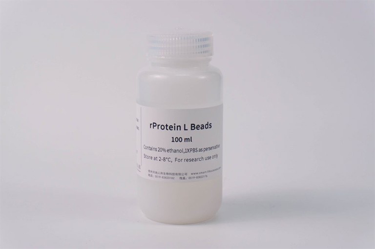 rProtein L Beads