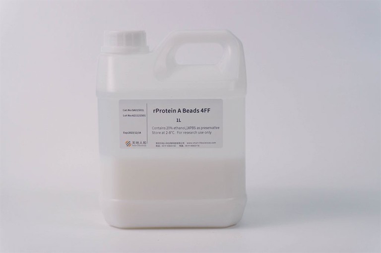 rProtein A Beads 4FF