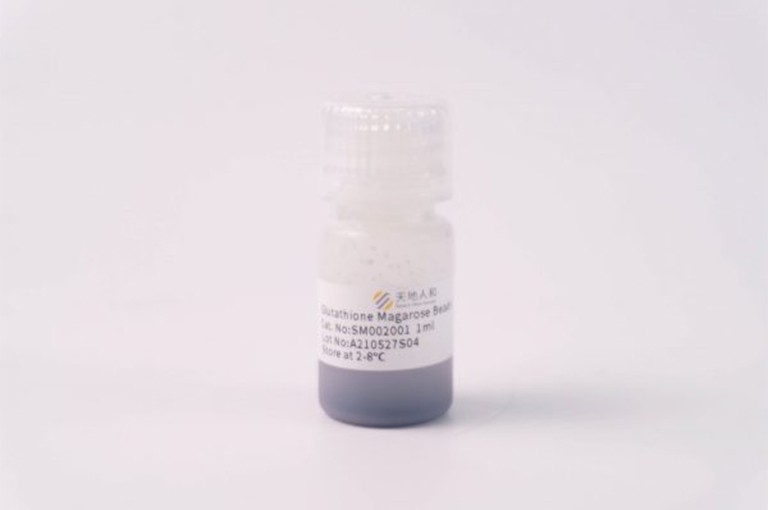 img of Glutathione Magarose Beads