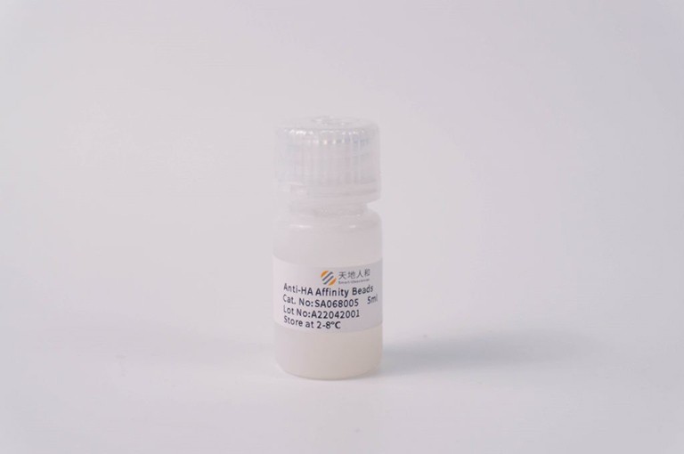 Anti-HA Affinity Beads