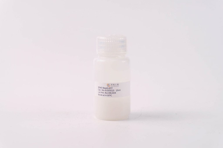 DEAE Beads 6FF