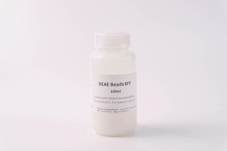 DEAE Beads 6FF
