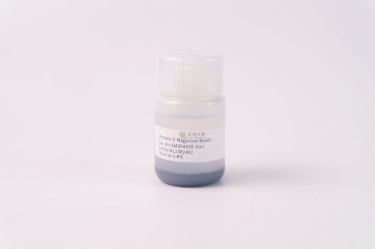 img of rProtein G Magarose Beads