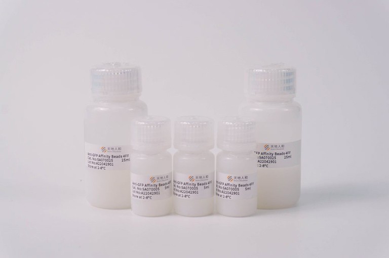 Anti-GFP Affinity Beads 4FF