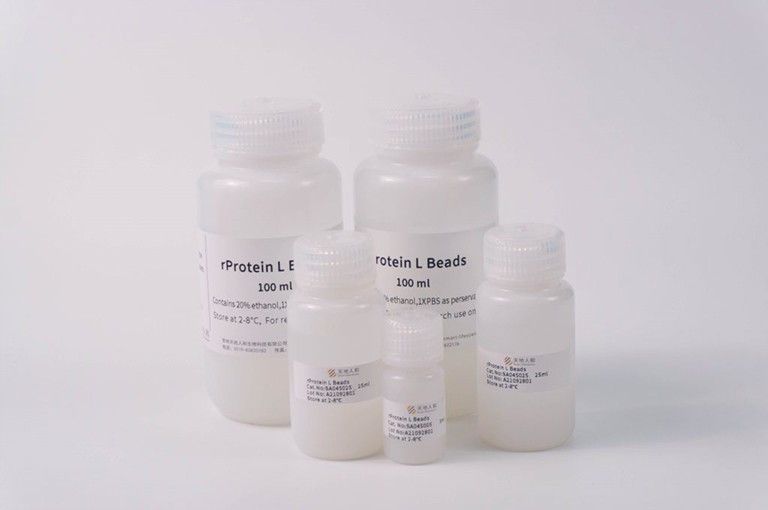 img of rProtein L Beads