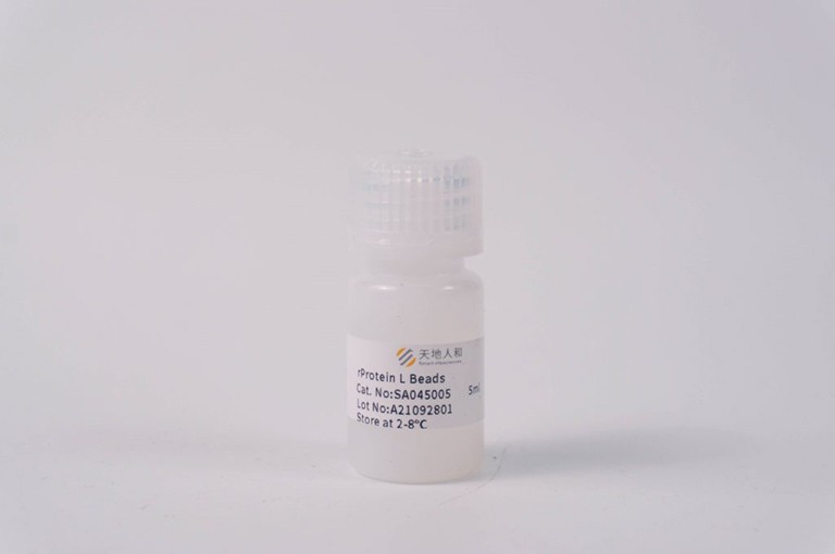 rProtein L Beads