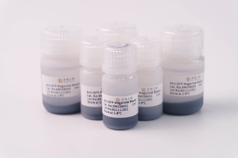 img of Anti-GFP Magarose Beads