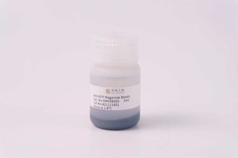 Anti-GFP Magarose Beads