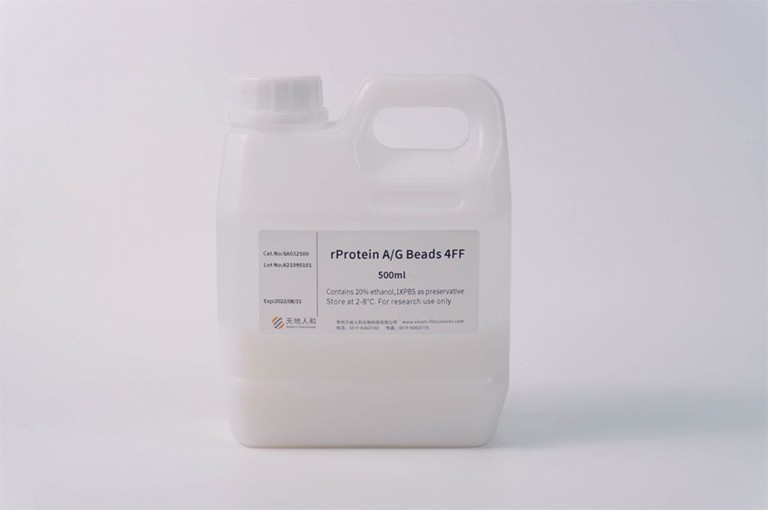 rProtein A/G Beads 4FF