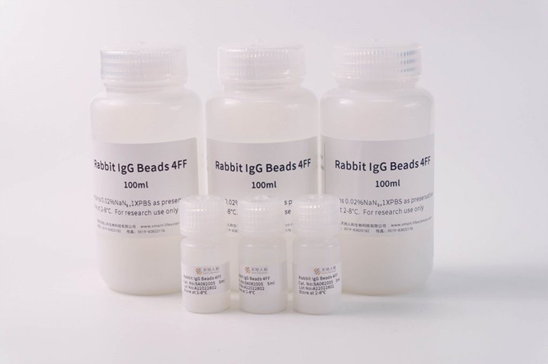 img of Rabbit IgG Beads 4FF