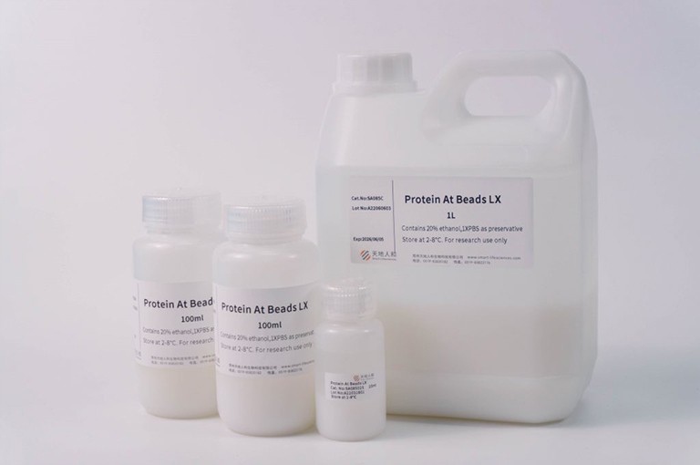 img of Protein At Beads LX