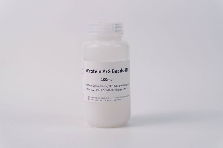 rProtein A/G Beads 4FF