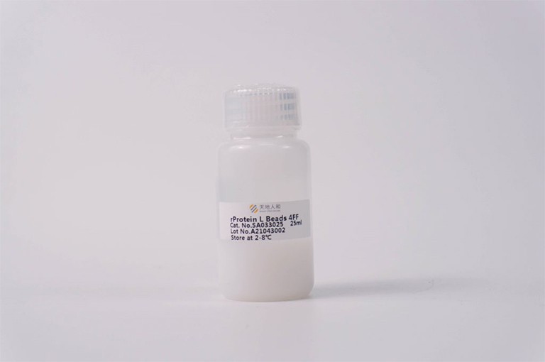 rProtein L Beads 4FF