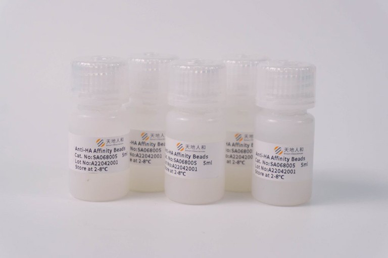 Anti-HA Affinity Beads