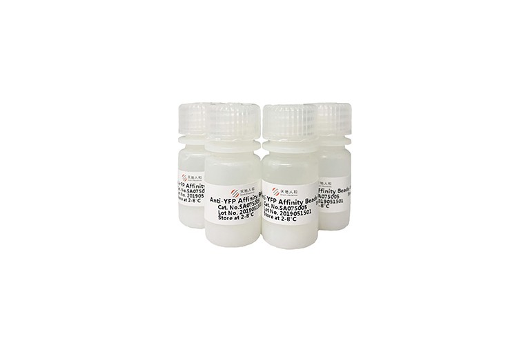 img of Anti-YFP Affinity Beads 4FF