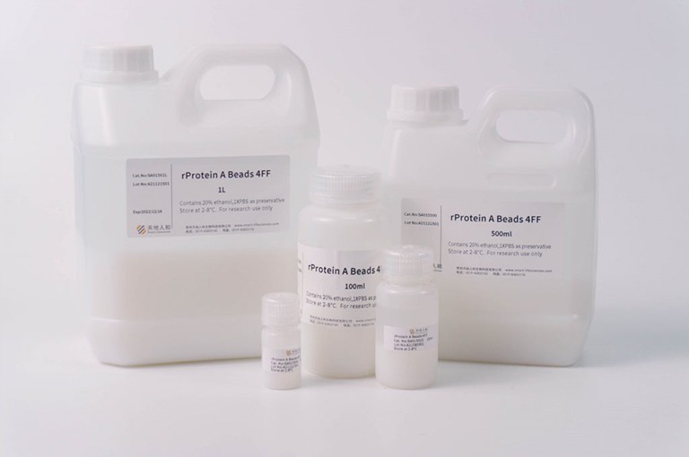 img of rProtein A Beads 4FF