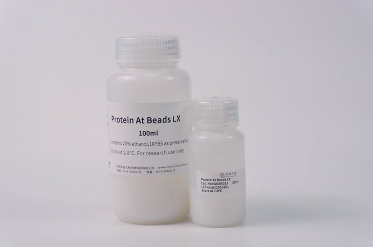 Protein At Beads LX