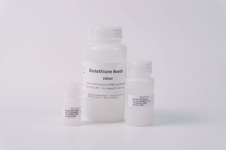 Glutathine Beads重力柱