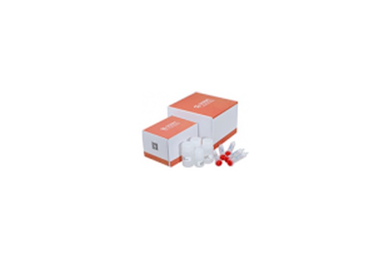 img of AbPur rProtein G Kit