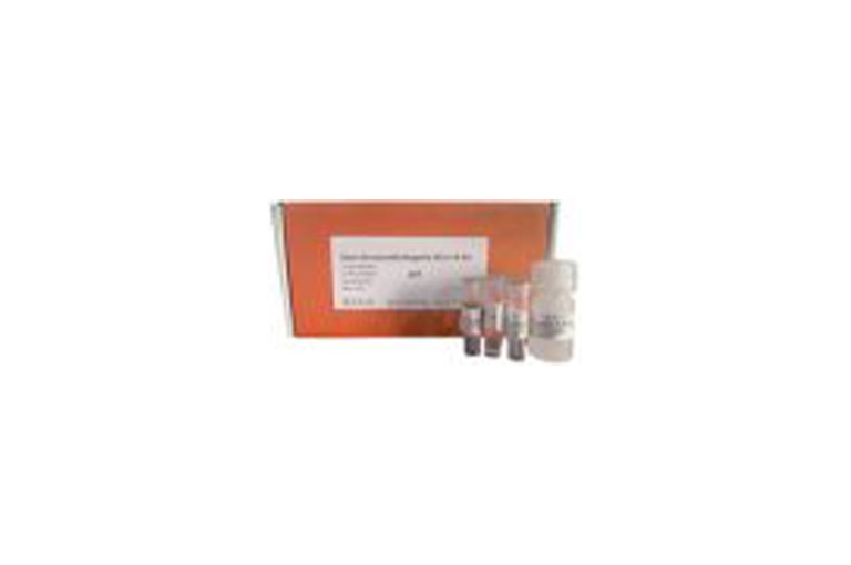 img of Smart Streptavidin Magnetic IP/Co-IP Kit