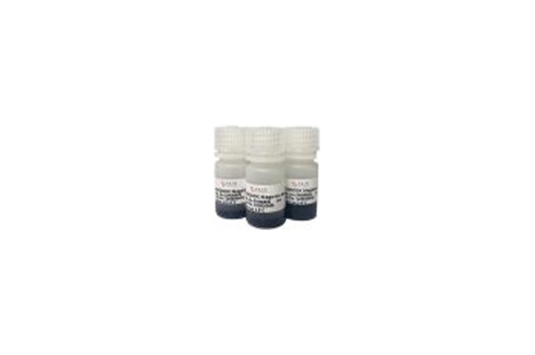 img of Anti-DYKDDDDK Magarose Beads