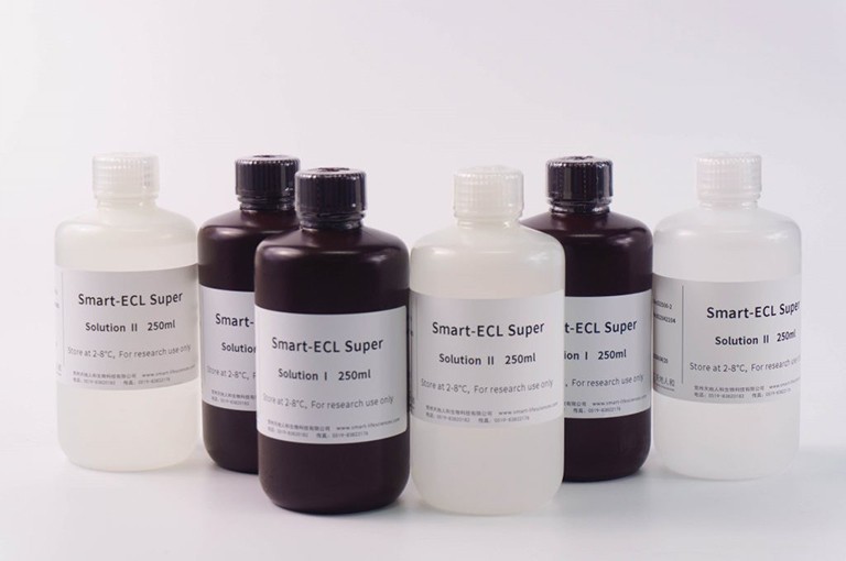 ECL鲁米诺化学发光试剂盒