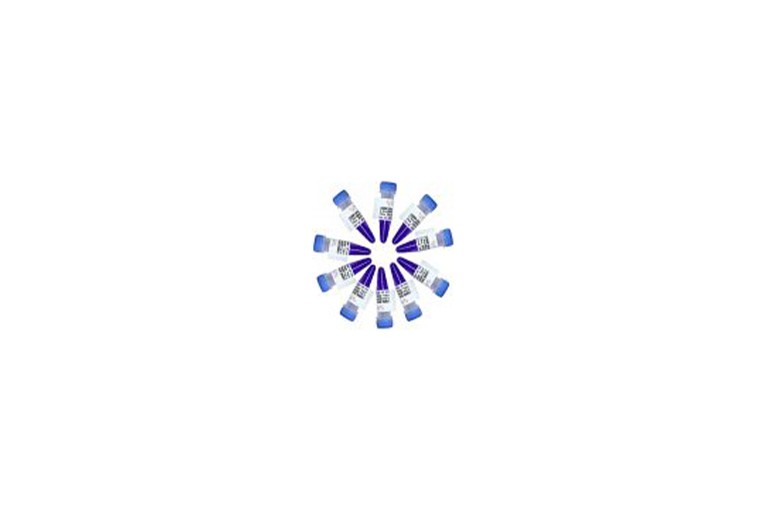 img of Smart Assembly Cloning Kit
